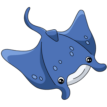Manta Ray