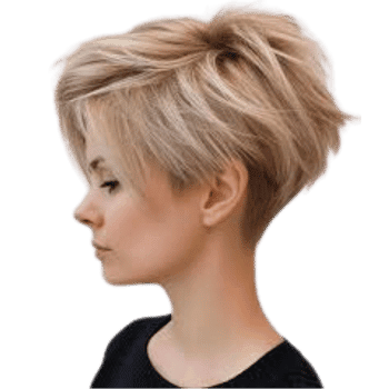 Pixie Bob-Learn Bob Haircut Names