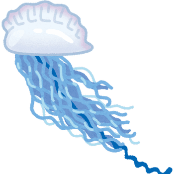 Portuguese Man O' War