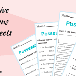 Possessive Pronouns Worksheets