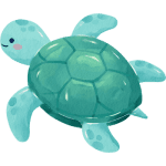 Sea Turtle