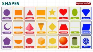 Shapes for Kids