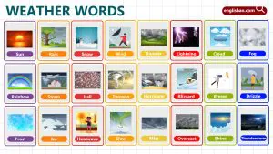 Types of Weather for kids