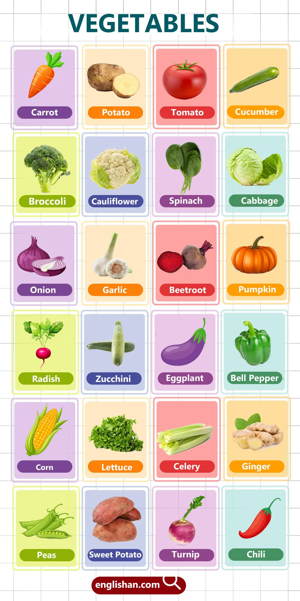 Vegetables Vocabulary for Kids