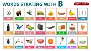 Words That Start With B: 450+ Vocabulary Words in English