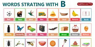 Words Starting with B for Kids for Boosting Vocabulary