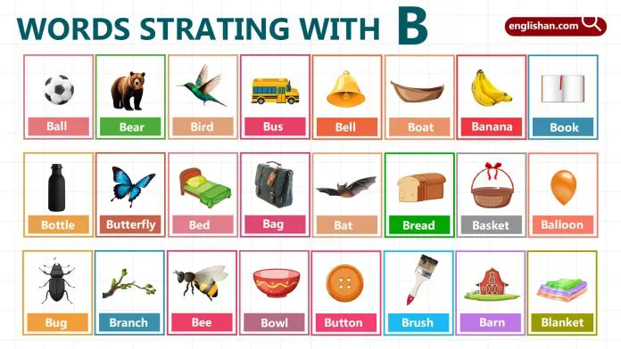 Words Starting with B for Kids for Boosting Vocabulary