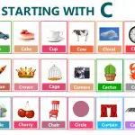 Words That Start With C: 600+ Ultimate Vocabulary List