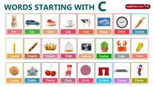 Words That Start With C: 600+ Ultimate Vocabulary List