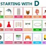 600 Words That Start With D – Extensive Vocabulary List