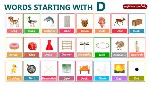 600 Words That Start With D – Extensive Vocabulary List