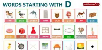 Words Starting with Letter D