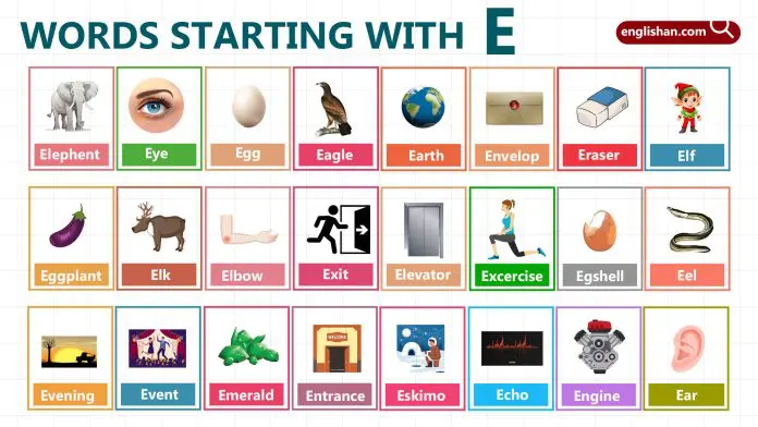 Words Starting with Letter E