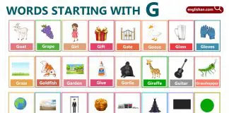 Words Starting with Letter G