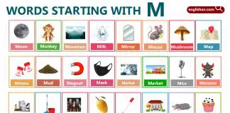 Words Starting with Letter M