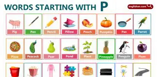 Words Starting with Letter P