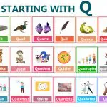 Words Starting with Letter Q