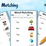 Word Matching Worksheets in English