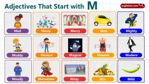 Adjectives that start with M with meanings and examples