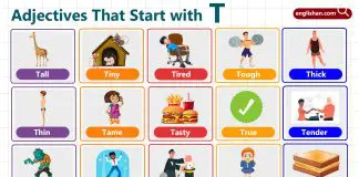 Adjectives starting with T