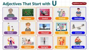 List of Adjectives that start with u like useful and urgent are key for describing needs and characteristics.