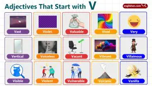 Adjectives That Start With V for English Vocabulary