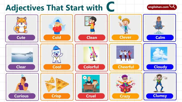 Adjectives with Letter C