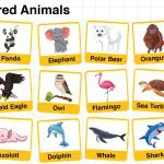 Endangered Animals for Kids