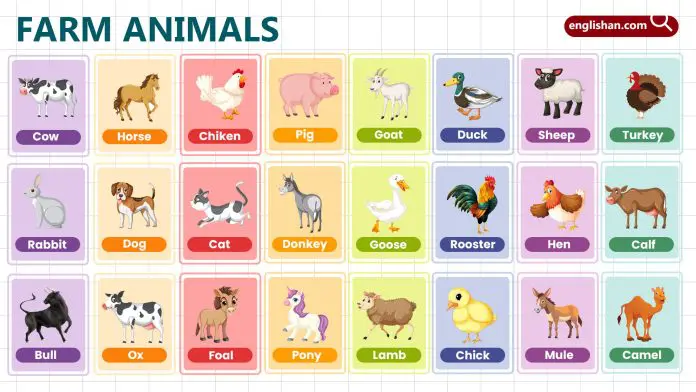 Farm Animals for Kids