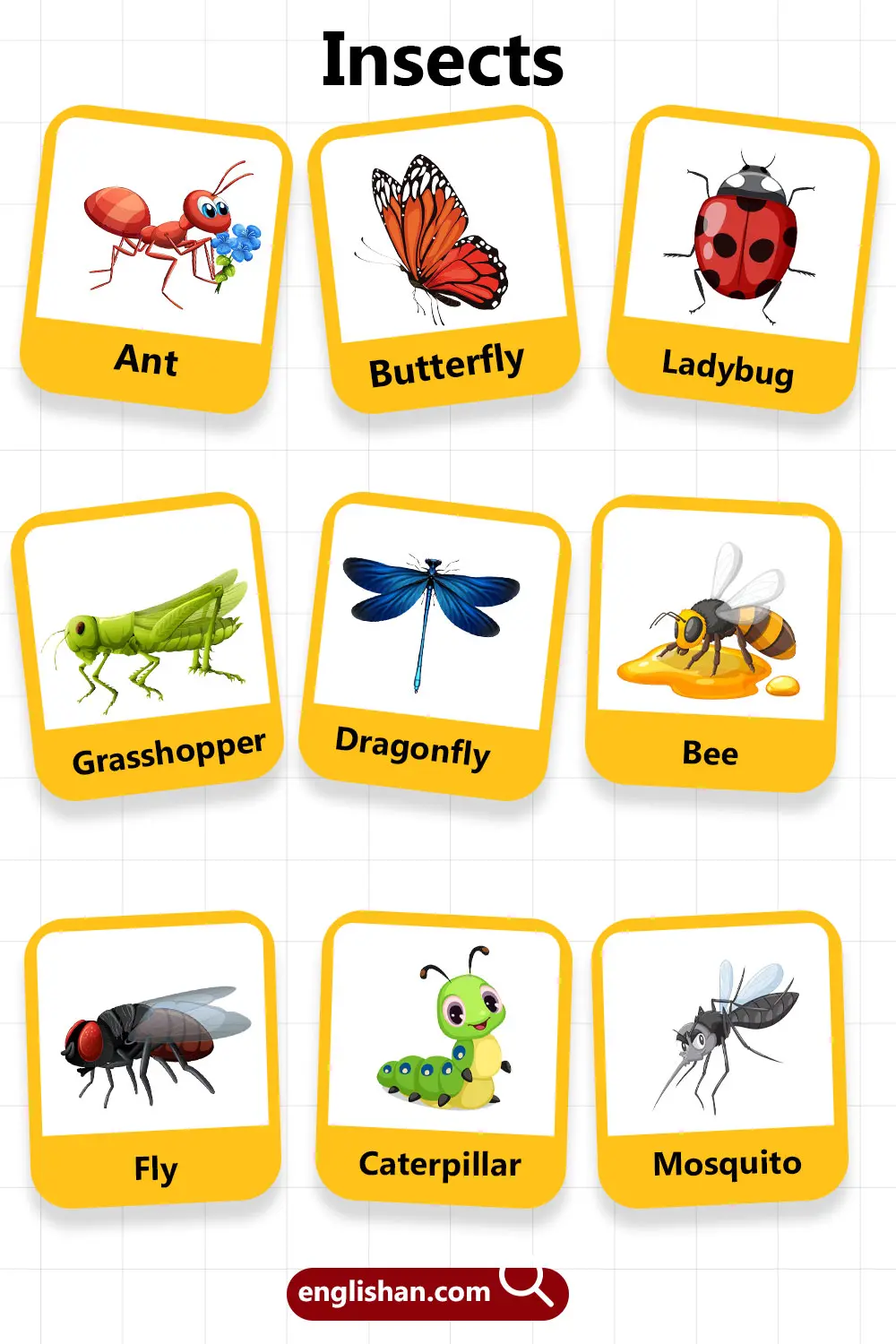 Insects Names For Kids Learn About Bugs Today Englishan Insects Names For Kids Learn About Bugs Today Englishan
