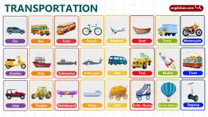 Means of Transport Name for Kids