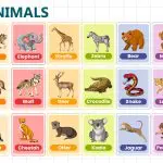 Wild Animals Names for Kids