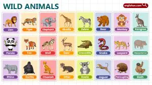Wild Animals Names for Kids