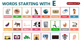 Words Starting with Letter E