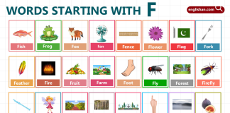 Words Starting with Letter F