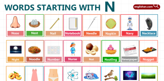 Words Starting with Letter N