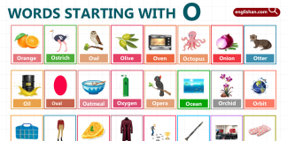 Words Starting with Letter O