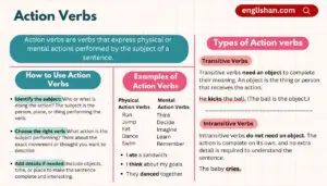 Action Verbs in English Grammar