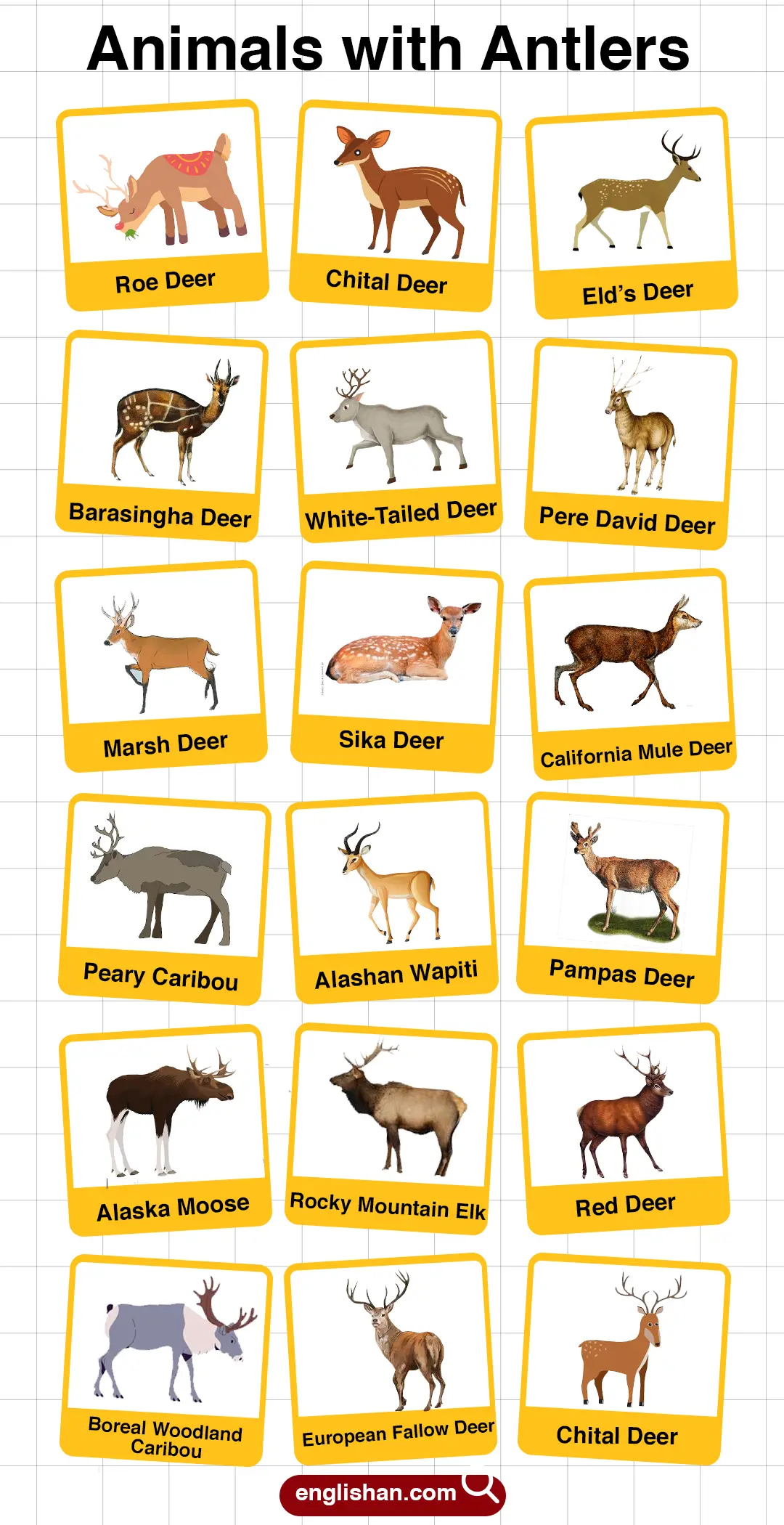 List of Animals with Antlers