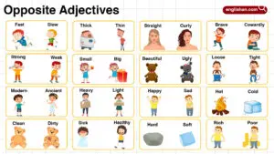 Opposite Adjectives with Pictures