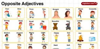 Opposite Adjectives with Pictures