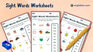 3 Sight Words Worksheets in English