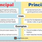 Principal vs Principle – Meaning and Usage Difference