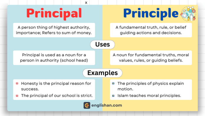 Principal vs Principle – Meaning and Usage Difference