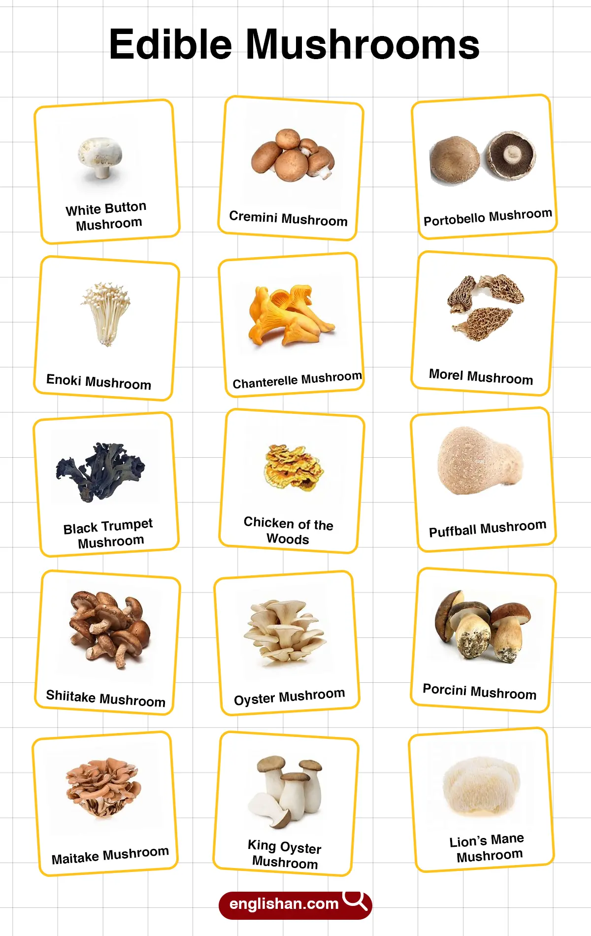 List of Different types of edible mushrooms with names