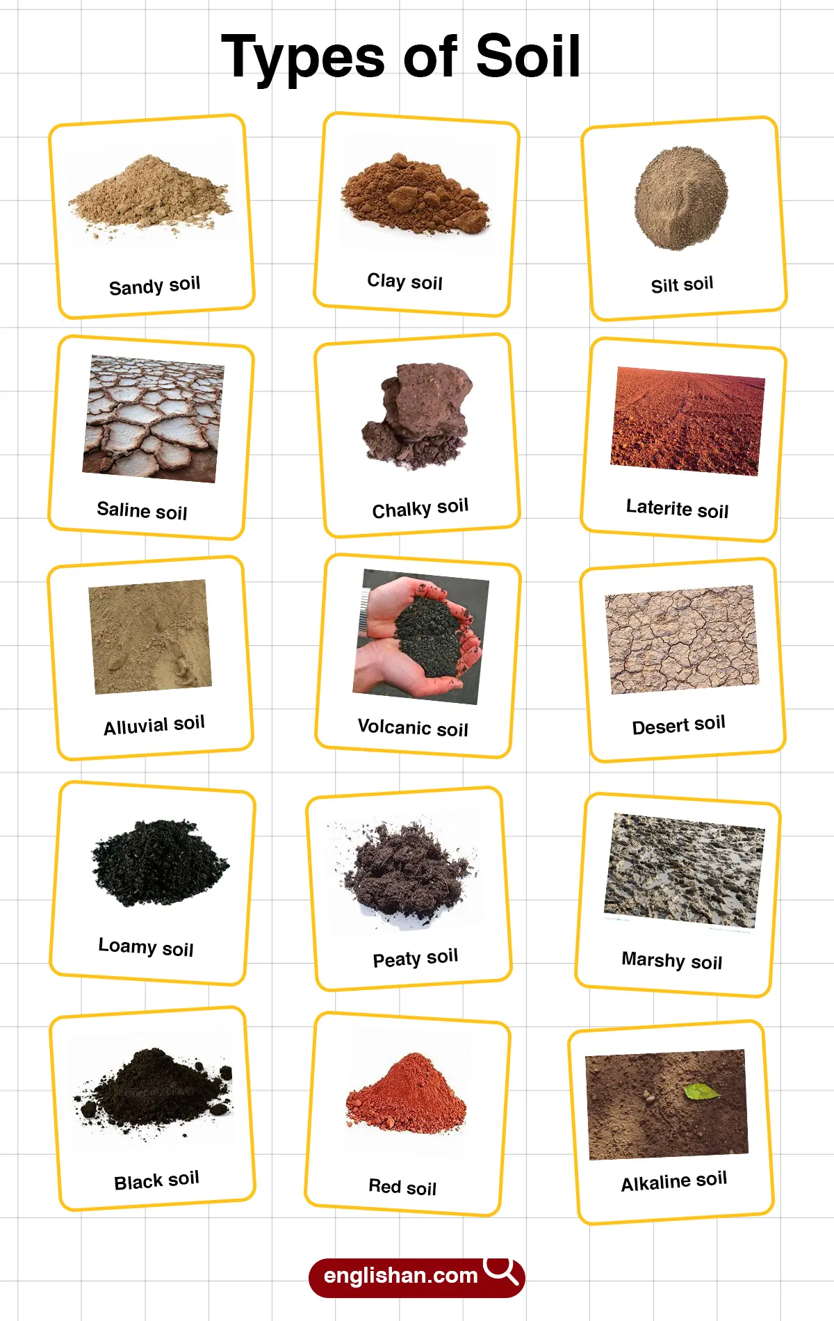 Soil Types and Their Names – Visual Learning Guide