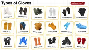 Types of Gloves – Names, Uses, and Materials Explained