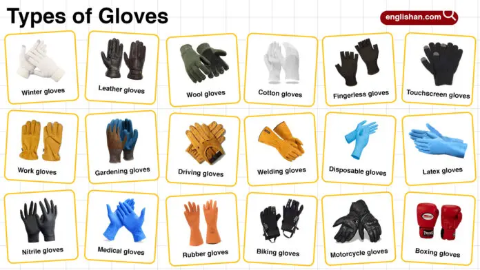 Types of Gloves – Names, Uses, and Materials Explained