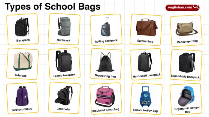 Types of School Bags – Different Bag Styles with Pictures