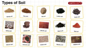 Types of Soil – Different Soil Categories with Pictures